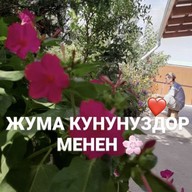 Нурик, 29 лет, Санкт-Петербург