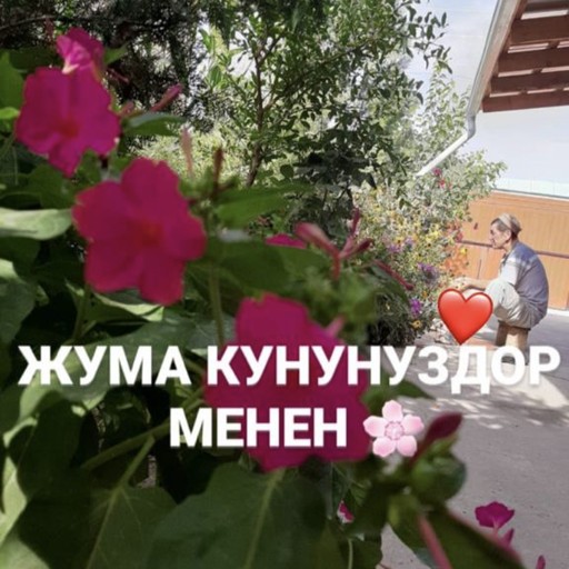 Нурик, 29 лет, Санкт-Петербург