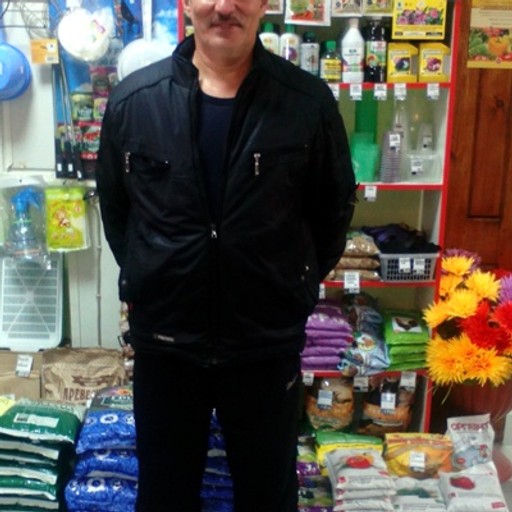 Алик, 62 года, Пудож
