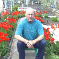 Сергей, 74 года, Луганск