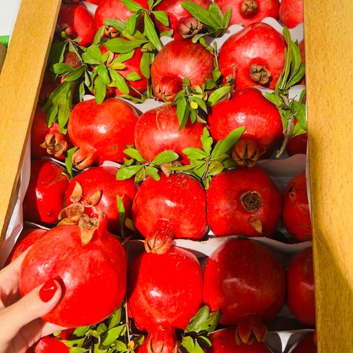 Светлана40, Красногорск