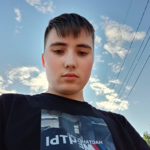 Денис, 19 лет, Кинешма