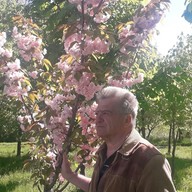 Виктор, 70 лет, Алчевск