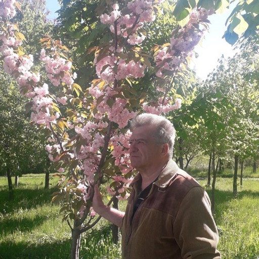 Виктор, 70 лет, Алчевск