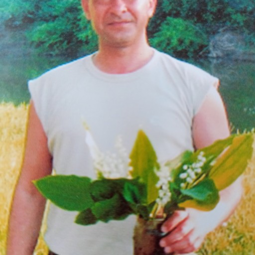 Марат, 44 года, Приютово