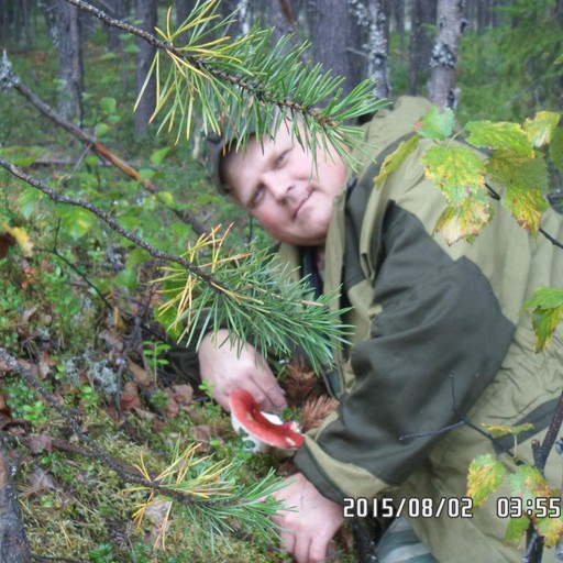 Дмитрий, 45 лет, Волгоград