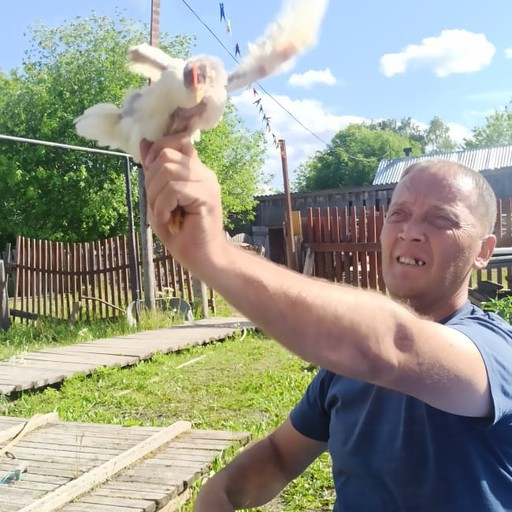 Влад44, Вологда