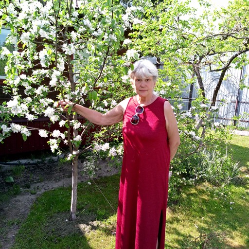 Татьяна, 59 лет, Кировск