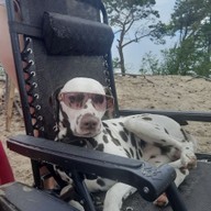 Илья, 24 года, Илир