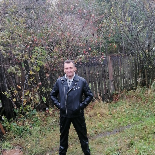 Дмитрий, 52 года, Тула