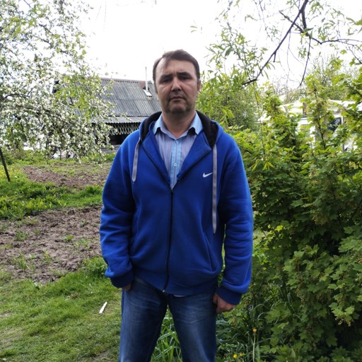 денис, 45 лет, Новосокольники
