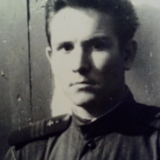 Владимир, 86 лет, Софрино