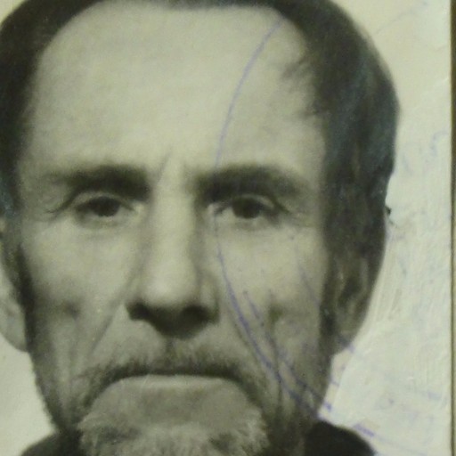 Владимир, 86 лет, Софрино