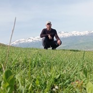 Махмуд, 44 года, Кемерово