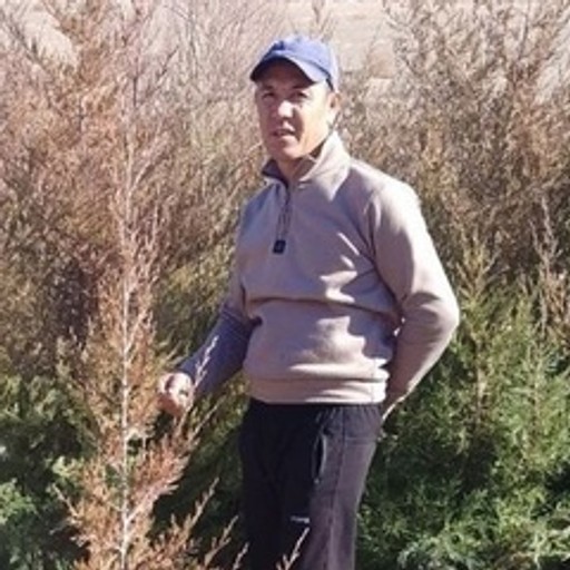 Abdivali, 46 лет, Щеглово