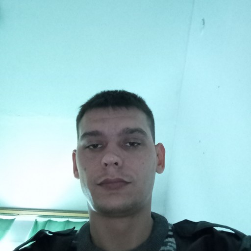 Дим31, Свободный