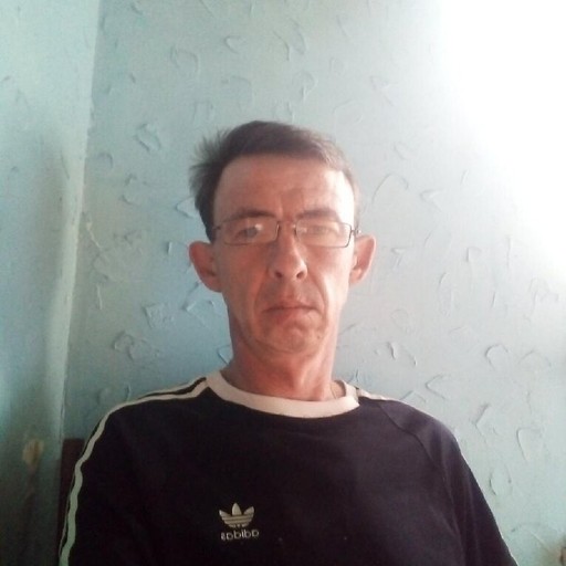 Анатолий, 49 лет, Курск