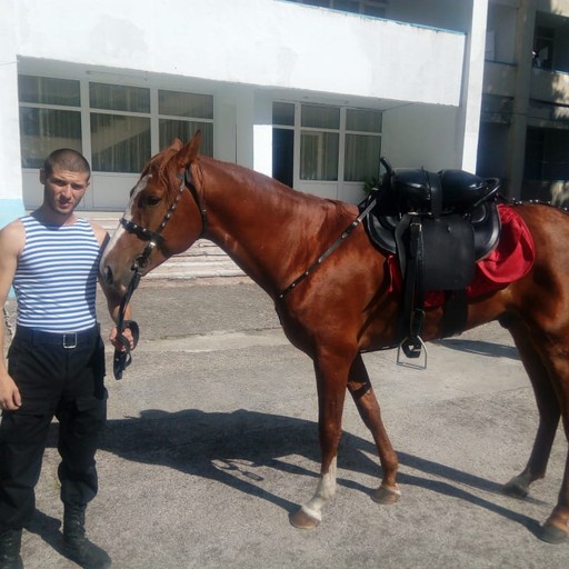 Андрей, 32 года, Ростов-на-Дону