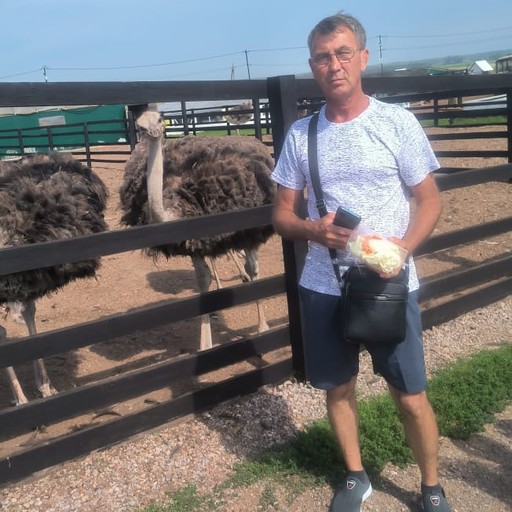 Василий, 54 года, Ногинск