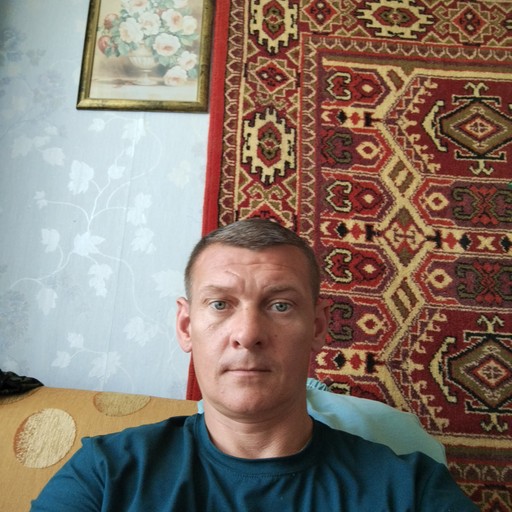 Владимир, 43 года, Рамешки