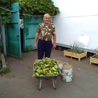андрей, 67 лет, Малоархангельск