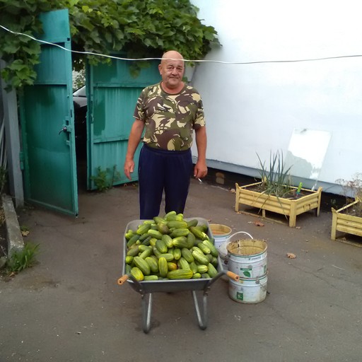 андрей, 67 лет, Малоархангельск