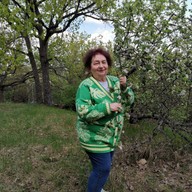 Алла, 78 лет, Воронеж