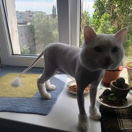 Тимур, 38 лет, Ишимбай