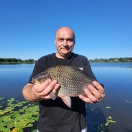 Eduard, 52 года, Kalistrativka