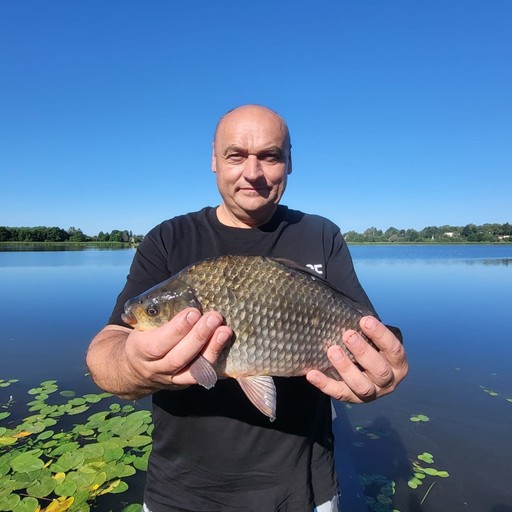 Eduard, 52 года, Kalistrativka