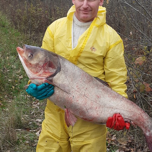 Александр, 47 лет, Самара