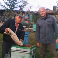 nfkzy, 73 года, Белгород