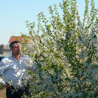 владимир, 50 лет, Камышин