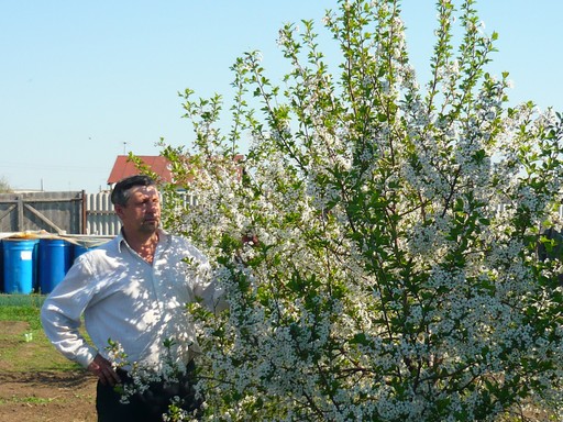 владимир, 51