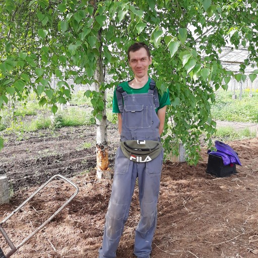 Коля, 35 лет, Хабаровск
