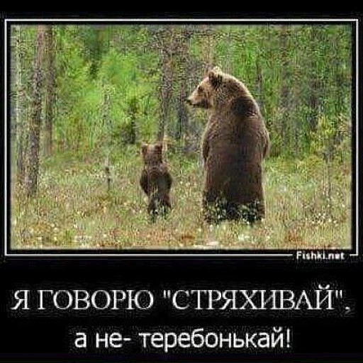 андрей54, Черняховск