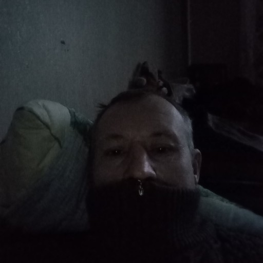 Андрей, 41 год, Кинешма