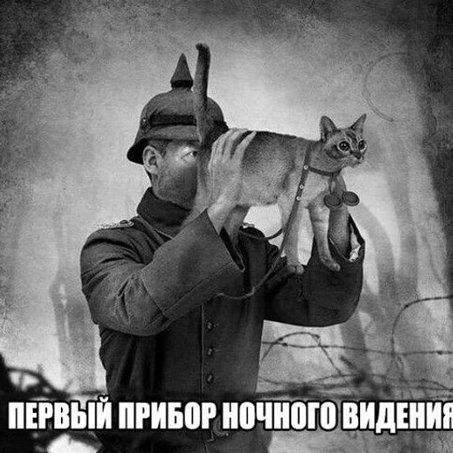 Сашка25, Калининград