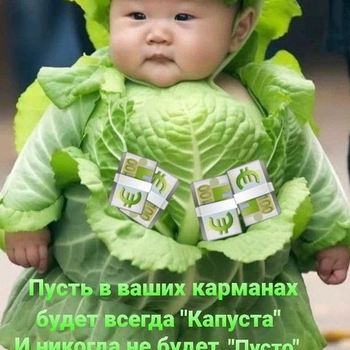 Vova, 65 лет, Дальнереченск