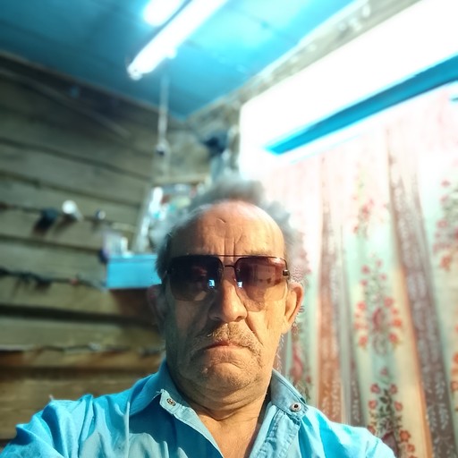 Владимир, 66 лет, Ардатов