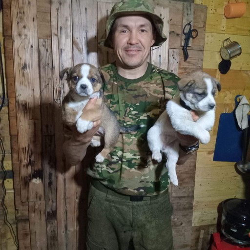 Разиль, 37 лет, Балаклава