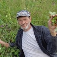 Ипан, 71 год, Красноярск