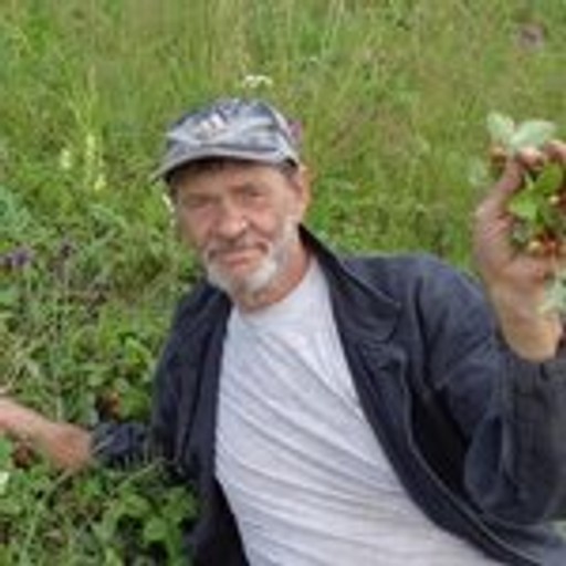 Ипан, 71 год, Красноярск