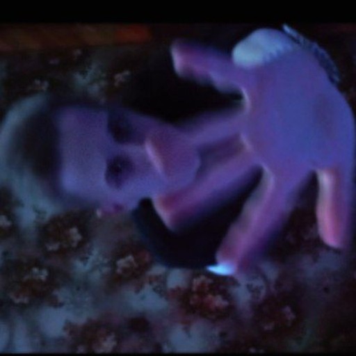 Антон19, Брянск