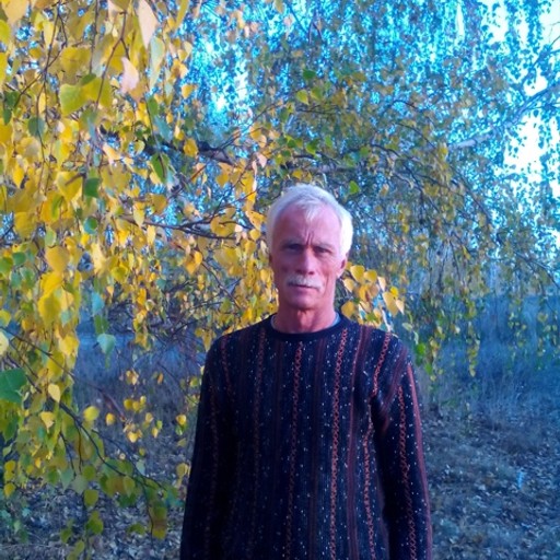 Александр, 68 лет, Южноуральск