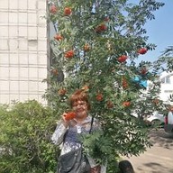 Светлана, 62 года, Барнаул