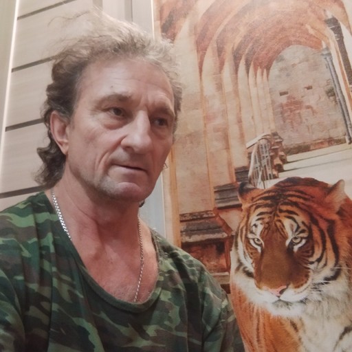 александр, 65 лет, Пенза