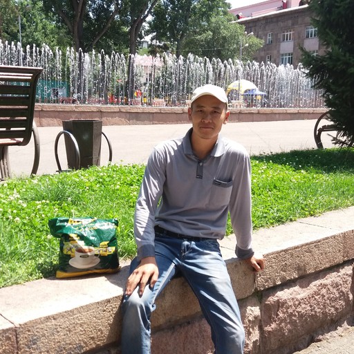 Закир, 41 год, Токмак