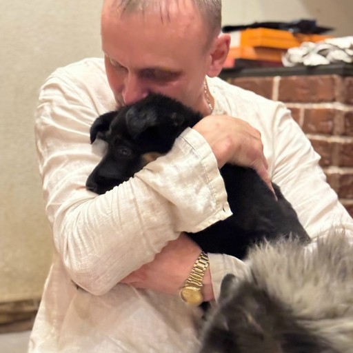 Vovan,48, Сосновоборск