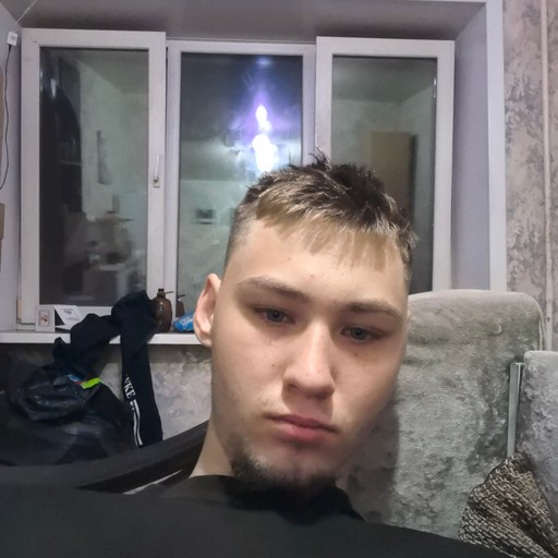 Vladimir,19, Полевской
